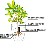 4-in-1 Bluetooth Soil Moisture Meter | Monitors Moisture, Light, Fertility, & Temperature