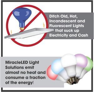 6-Pack LED Grow Light Kit | Full Spectrum | Flexible & Durable | Almost Free Energy
