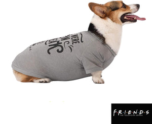 Friends TV Show "We Were On A Break" Dog T-Shirt - Soft, Machine Washable