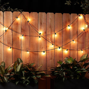 25ft Black Patio String Lights with 25 Clear G40 Globe Bulbs