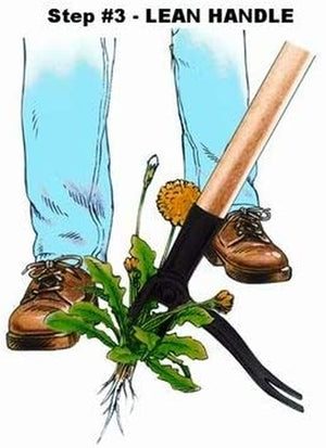 Grampa's Weeder - The Original Stand-Up Weed Remover Tool