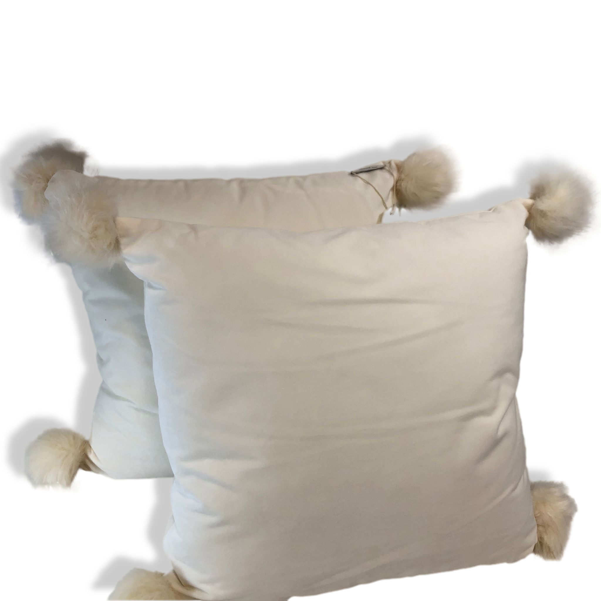 Decorative Set of 2 20" Pillows w/ Pom-Poms by Lauren McBride