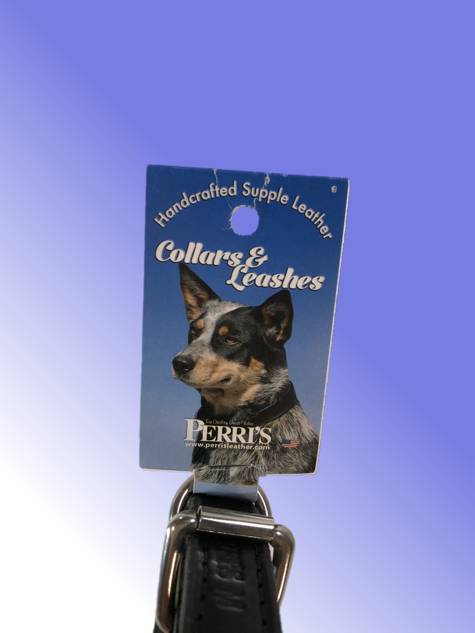Perri's Padded Leather Dog Collar
