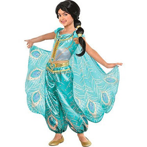 Disney Alladin Jasmine Costume.