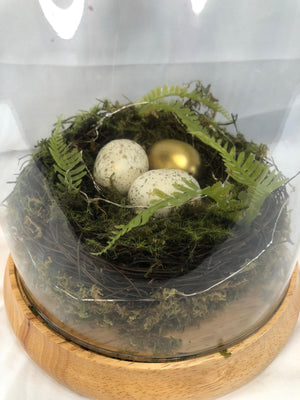 "As is" Martha Stewart Illuminated Spring Nest Cloche