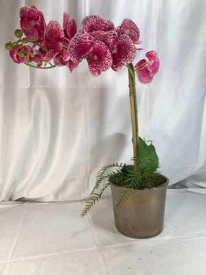 26" Real Touch Orchid in Mirrored Bronze Pot by Peony