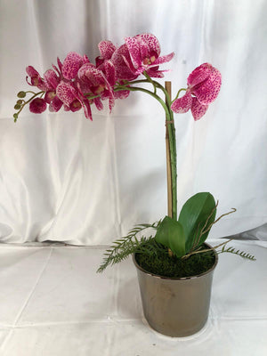 26" Real Touch Orchid in Mirrored Bronze Pot by Peony