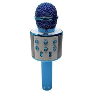 Perfect Pitch Karaoke Wireless Microphone and Recorder - Store Demo