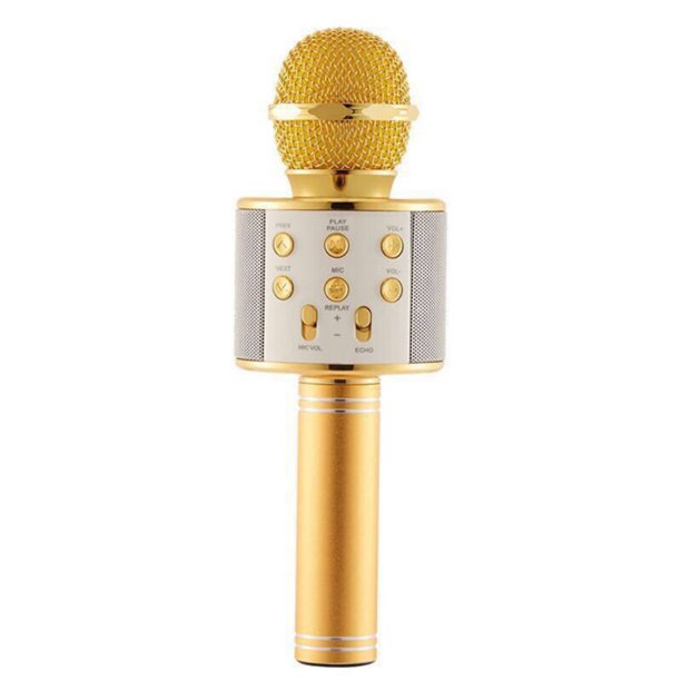 Perfect Pitch Karaoke Wireless Microphone and Recorder